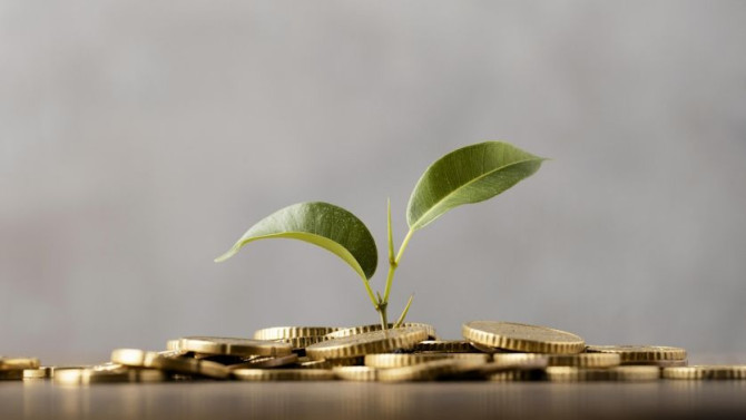 front-view-plant-growing-from-golden-coins.jpg