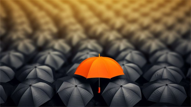 orange-umbrella-with-black-top-that-says-orange.jpg