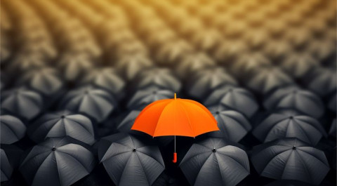 orange-umbrella-with-black-top-that-says-orange.jpg