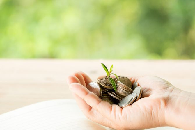 woman-s-hand-is-holding-many-coins.jpg